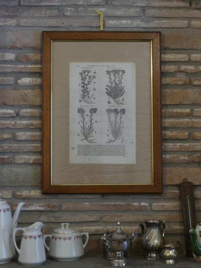 빈치 Helichrysum B&B 외부 사진
