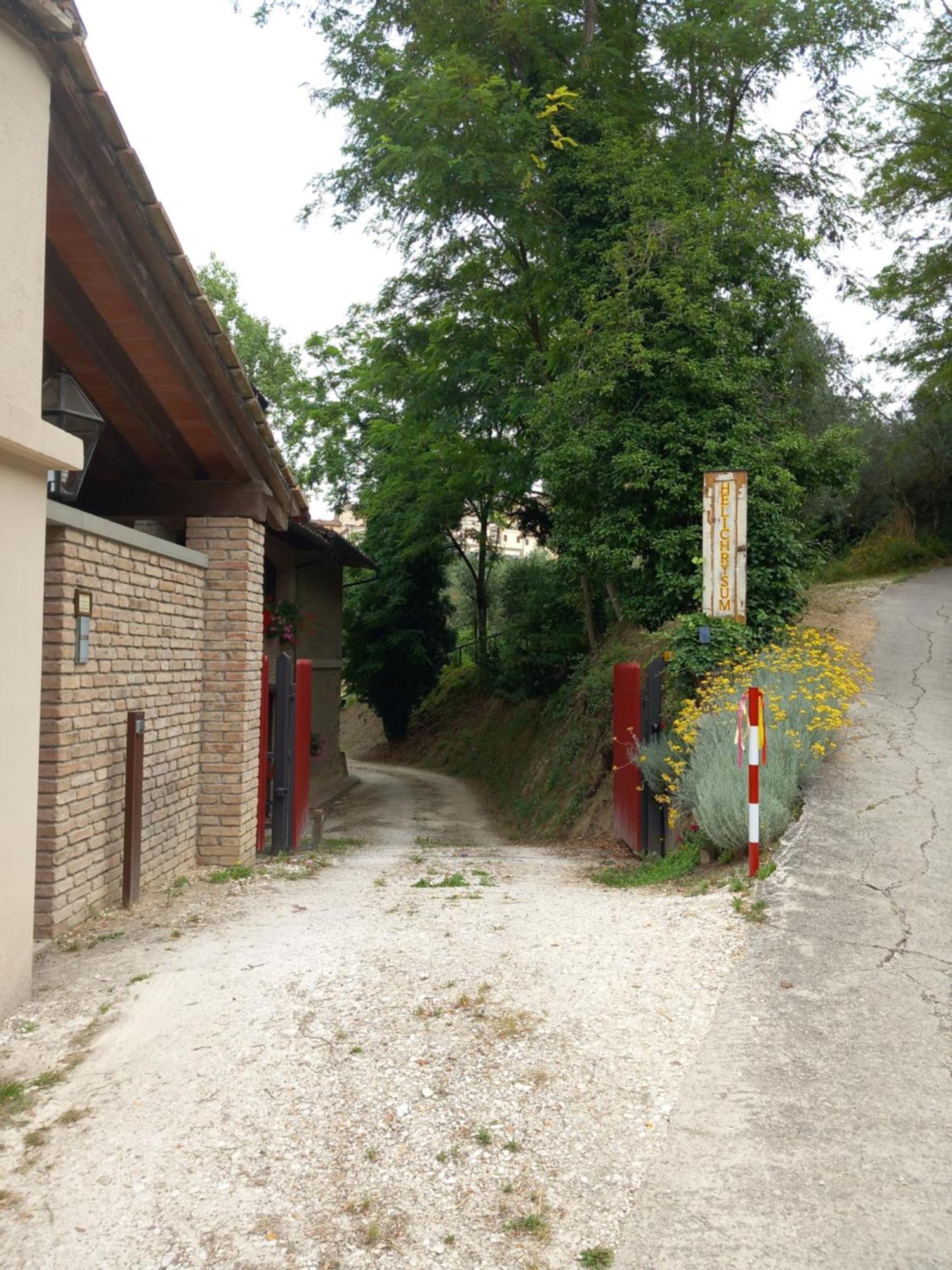 빈치 Helichrysum B&B 외부 사진